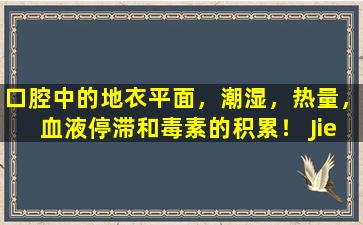 口腔中的地衣平面，潮湿，热量，血液停滞和毒素的积累！ Jiedu  Yuugu汤：清除热量并去除潮湿和僵局，排毒并消除苔藓
